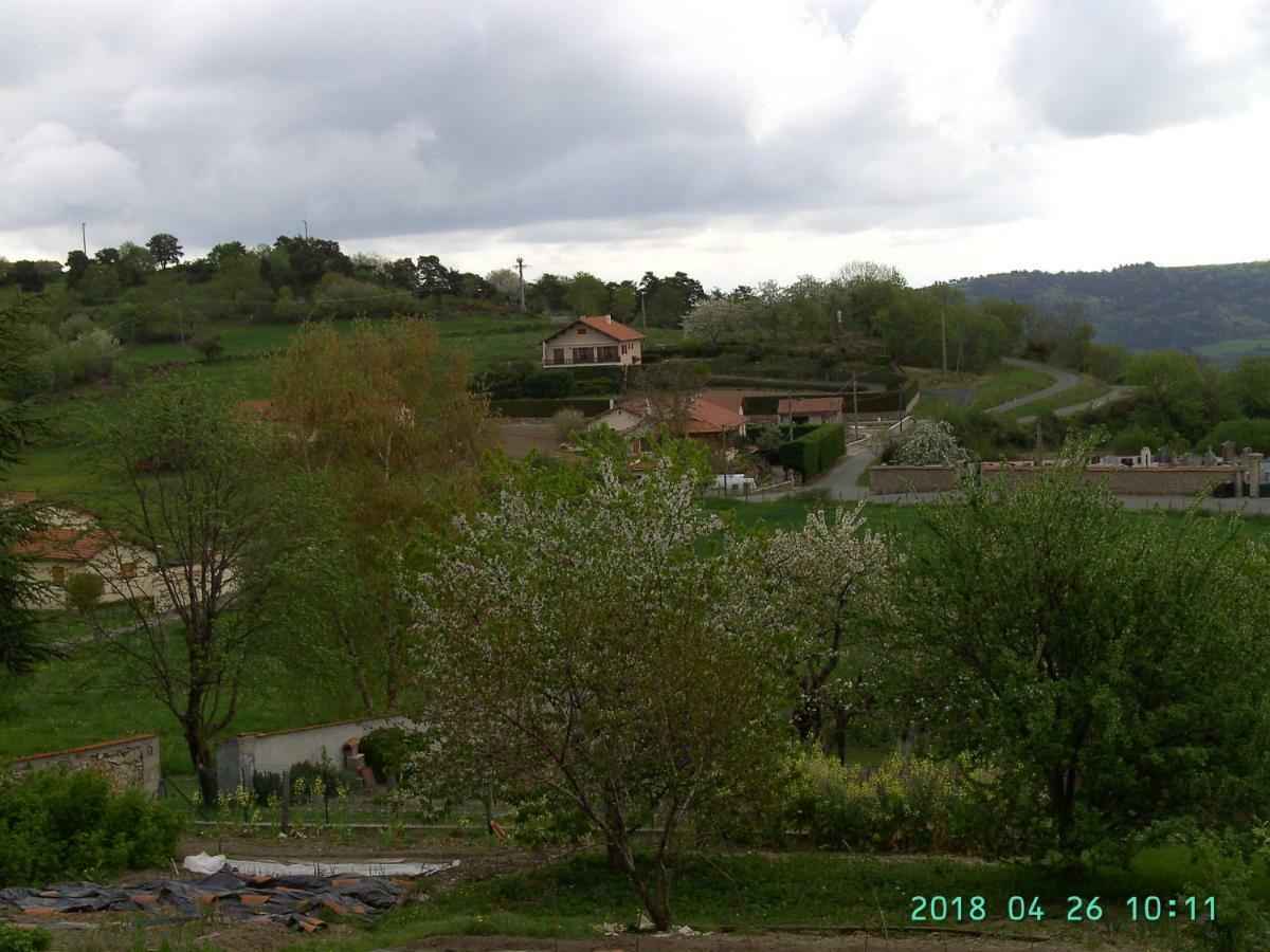 Bed and Breakfast La Fontaine Saint-Georges-en-Couzan Екстер'єр фото